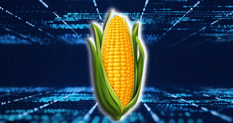 Стартап Corn залучив $6,7 млн інвестицій