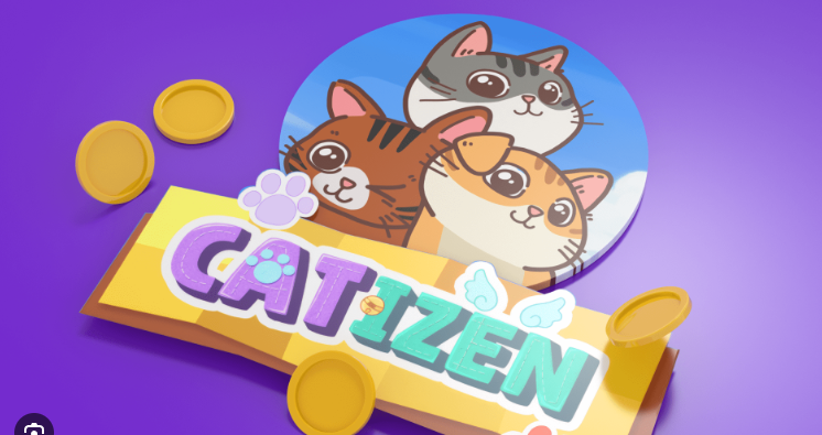 Лістинг Catizen: що треба знати?